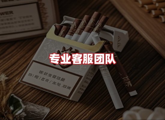 专业团队
